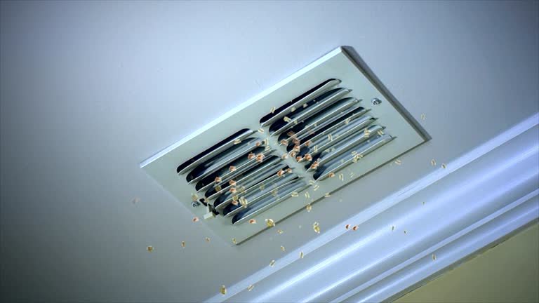 Best Air Duct Cleaning Near Me  in Caseyvle, IL