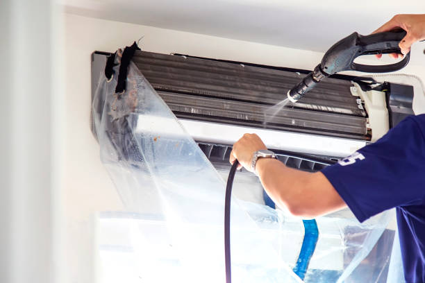 Best HVAC Duct Inspection Services  in Caseyvle, IL