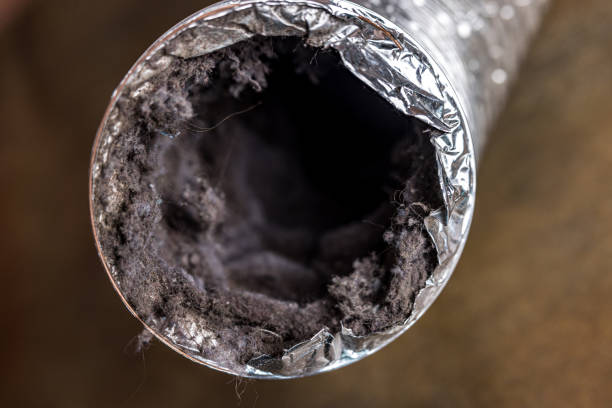 Best Affordable HVAC Duct Cleaning  in Caseyvle, IL