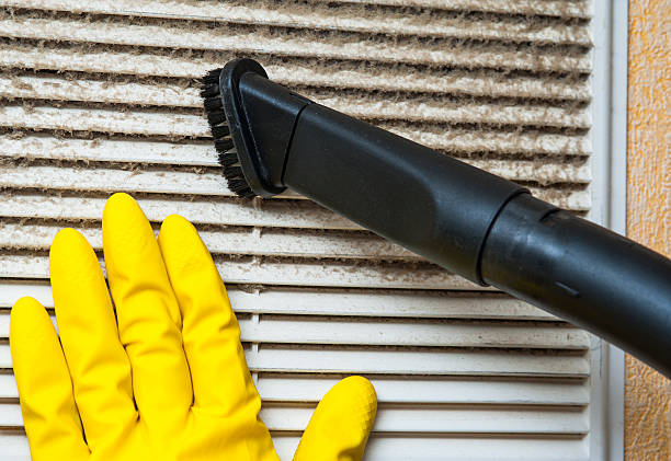 Best Affordable Duct Cleaning Services  in Caseyvle, IL
