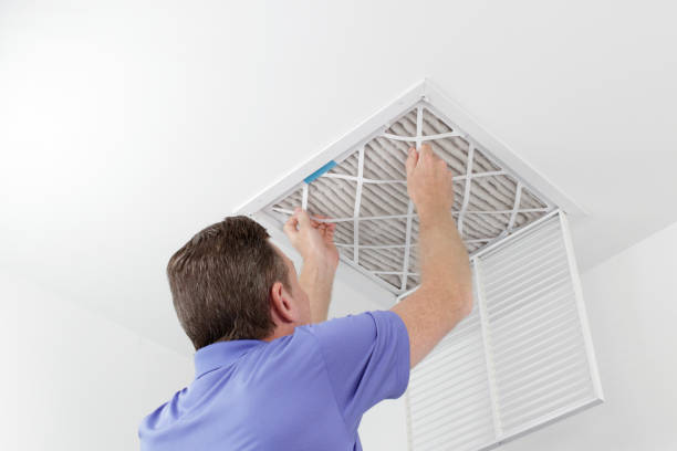 Best Air Vent Cleaning Services  in Caseyvle, IL